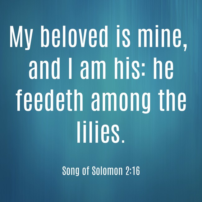  My beloved is mine, and I am his: he feedeth among the lilies.   - Song of Solomon 2:16 