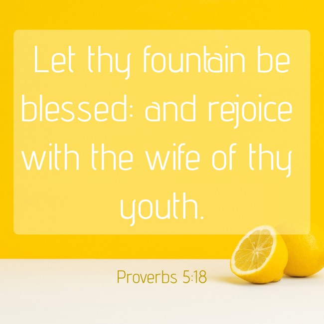  Let thy fountain be blessed: and rejoice with the wife of thy youth.   - Proverbs 5:18 