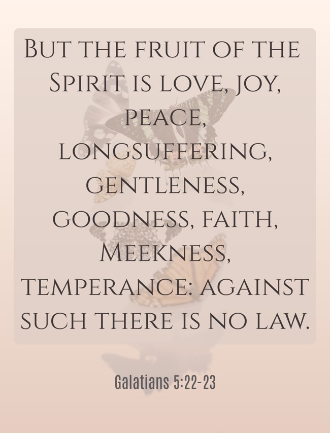  But the fruit of the Spirit is love, joy, peace, longsuffering, gentleness, goodness, faith, Meekness, temperance: against such there is no law.   - Galatians 5:22-23 