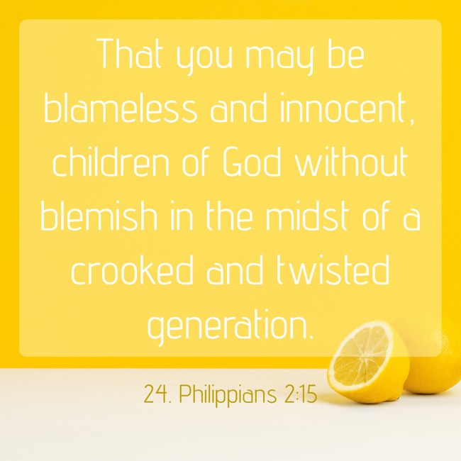 That you may be blameless and innocent, children of God without blemish in the midst of a crooked and twisted generation. - 24. Philippians 2:15