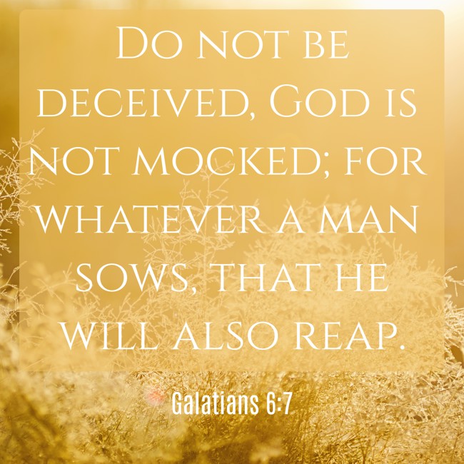 Do not be deceived, God is not mocked; for whatever a man sows, that he will also reap. - Galatians 6:7