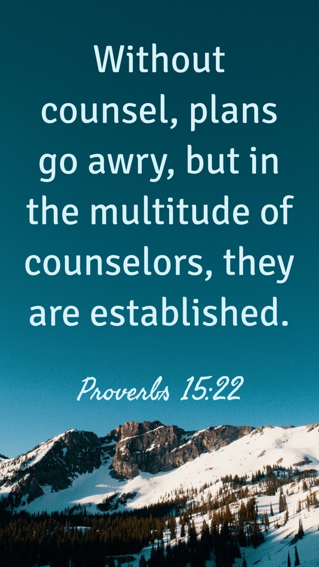 Without counsel, plans go awry, but in the multitude of counselors, they are established. - Proverbs 15:22