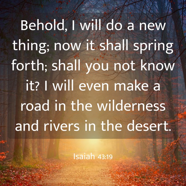 Behold, I will do a new thing; now it shall spring forth; shall you not know it? I will even make a road in the wilderness and rivers in the desert. - Isaiah 43:19
