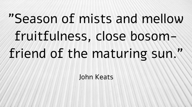 Season of mists and mellow fruitfulness, close bosom-friend of the maturing sun. - John Keats