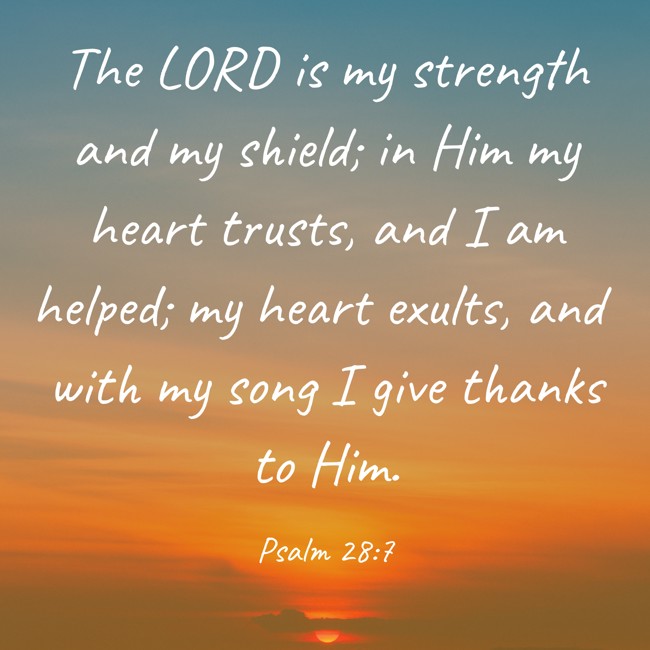 The LORD is my strength and my shield; in Him my heart trusts, and I am helped; my heart exults, and with my song I give thanks to Him. - Psalm 28:7