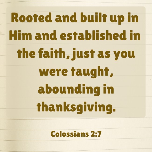 Rooted and built up in Him and established in the faith, just as you were taught, abounding in thanksgiving. - Colossians 2:7