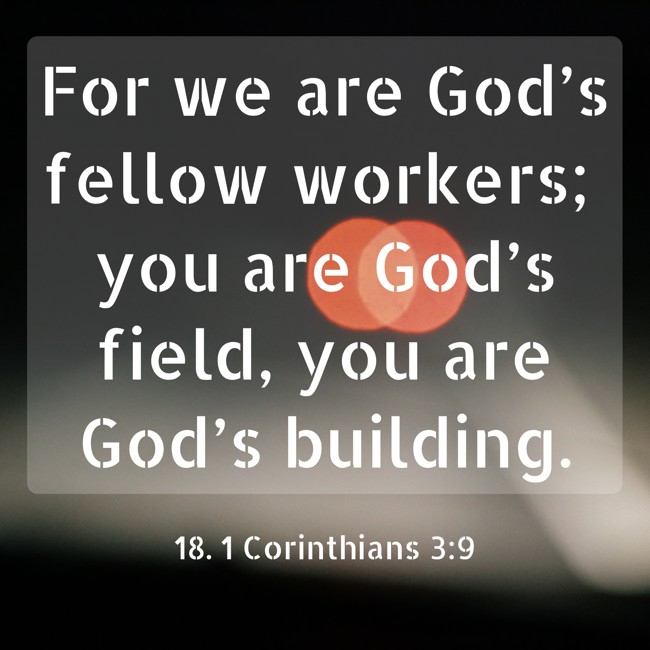 For we are God’s fellow workers; you are God’s field, you are God’s building. - 18. 1 Corinthians 3:9