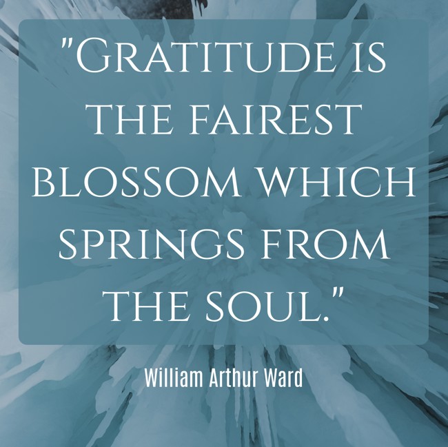 Gratitude is the fairest blossom which springs from the soul. - William Arthur Ward