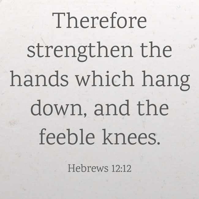 Therefore strengthen the hands which hang down, and the feeble knees. - Hebrews 12:12
