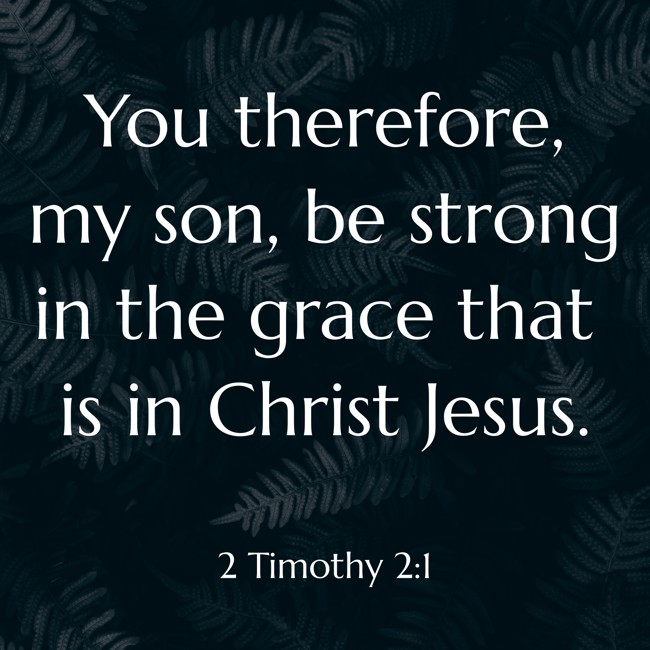 You therefore, my son, be strong in the grace that is in Christ Jesus. - 2 Timothy 2:1