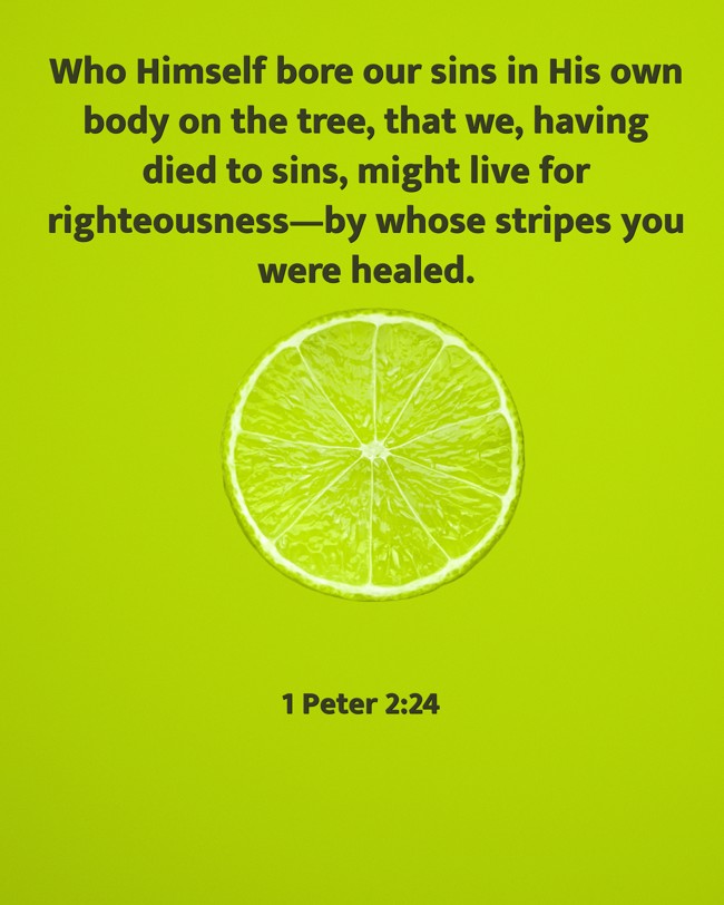 Who Himself bore our sins in His own body on the tree, that we, having died to sins, might live for righteousness—by whose stripes you were healed. - 1 Peter 2:24