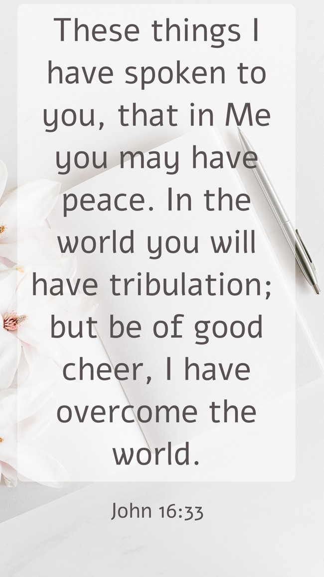 These things I have spoken to you, that in Me you may have peace. In the world you will have tribulation; but be of good cheer, I have overcome the world. - John 16:33