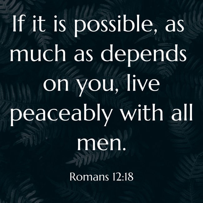 If it is possible, as much as depends on you, live peaceably with all men. - Romans 12:18