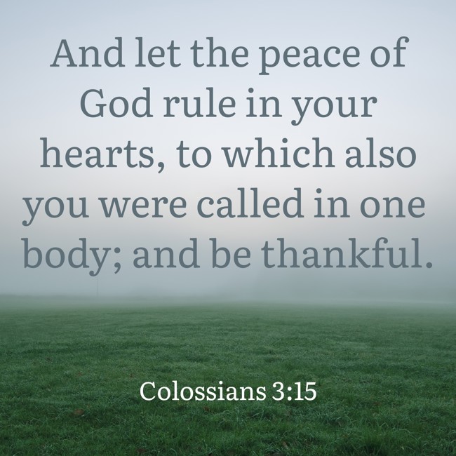 And let the peace of God rule in your hearts, to which also you were called in one body; and be thankful. - Colossians 3:15