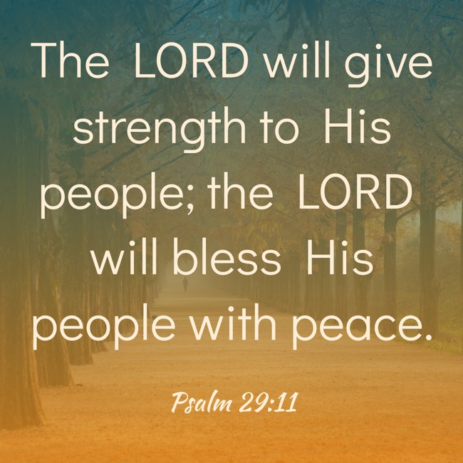The LORD will give strength to His people; the LORD will bless His people with peace. - Psalm 29:11