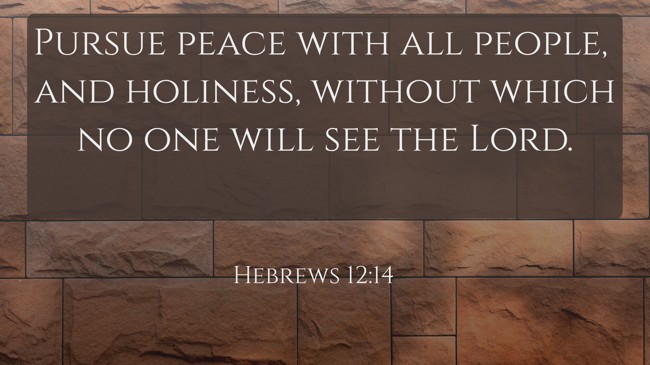 Pursue peace with all people, and holiness, without which no one will see the Lord. - Hebrews 12:14