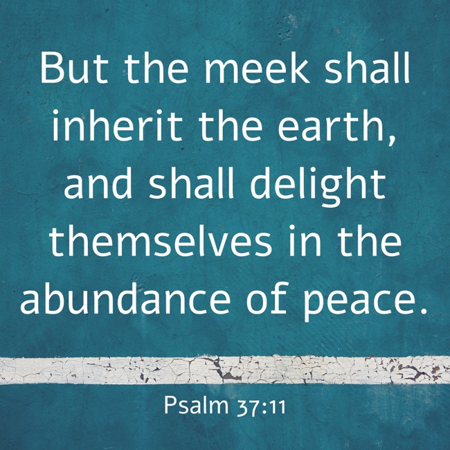 But the meek shall inherit the earth, and shall delight themselves in the abundance of peace. - Psalm 37:11