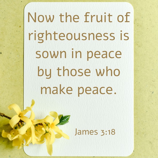 Now the fruit of righteousness is sown in peace by those who make peace. - James 3:18