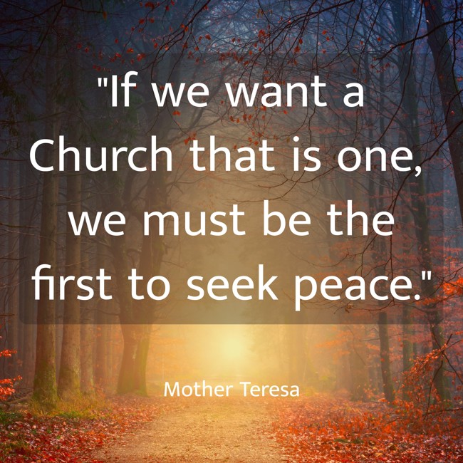 If we want a Church that is one, we must be the first to seek peace. - Mother Teresa