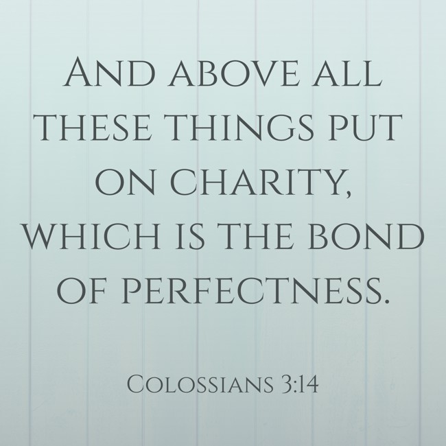  And above all these things put on charity, which is the bond of perfectness.   - Colossians 3:14 