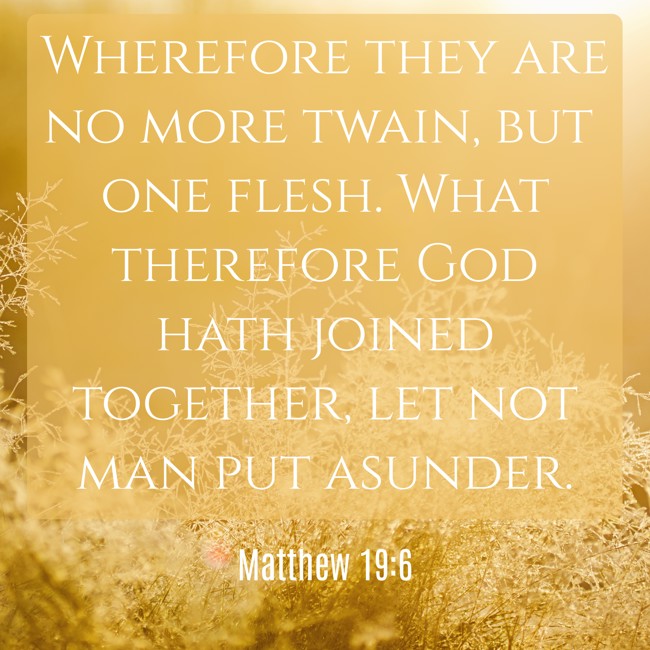  Wherefore they are no more twain, but one flesh. What therefore God hath joined together, let not man put asunder.   - Matthew 19:6 