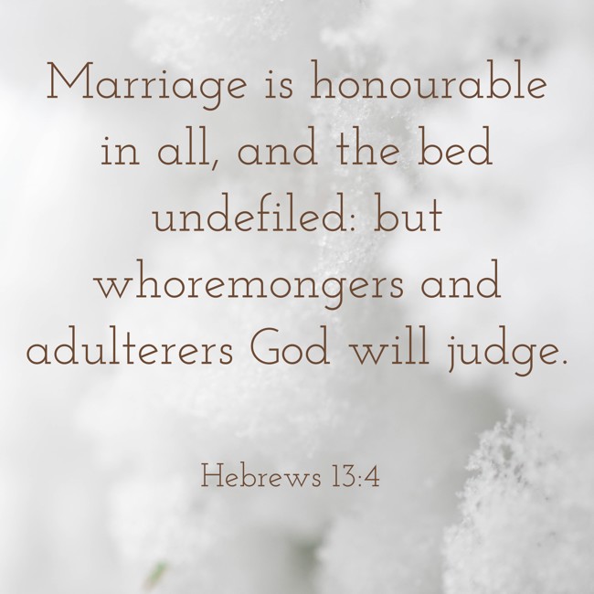  Marriage is honourable in all, and the bed undefiled: but whoremongers and adulterers God will judge.   - Hebrews 13:4 