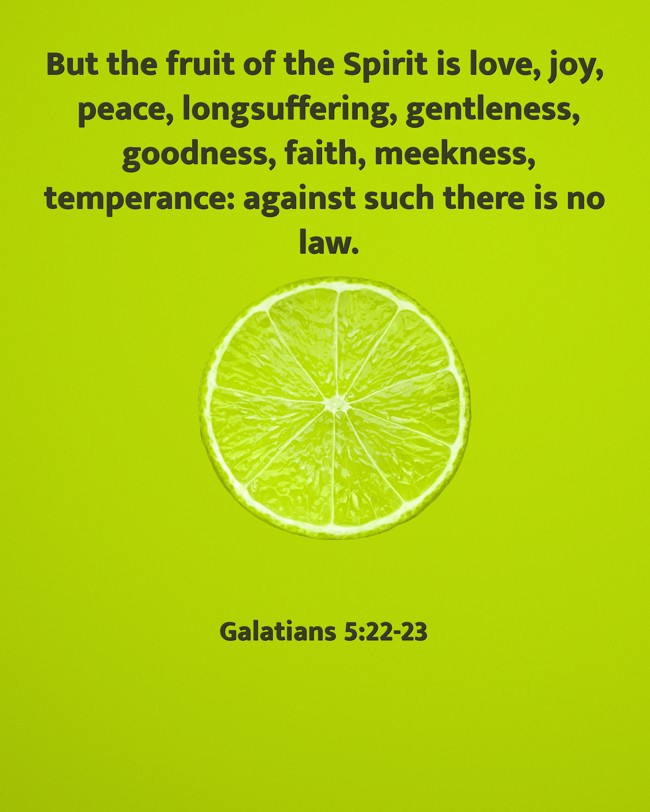  But the fruit of the Spirit is love, joy, peace, longsuffering, gentleness, goodness, faith, meekness, temperance: against such there is no law.   - Galatians 5:22-23 