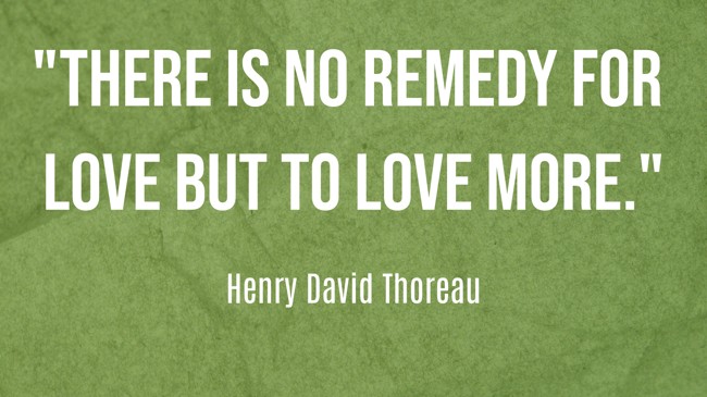  There is no remedy for love but to love more.   - Henry David Thoreau 