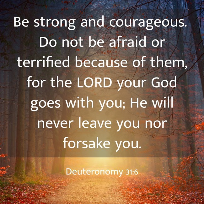 Be strong and courageous. Do not be afraid or terrified because of them, for the LORD your God goes with you; He will never leave you nor forsake you. - Deuteronomy 31:6