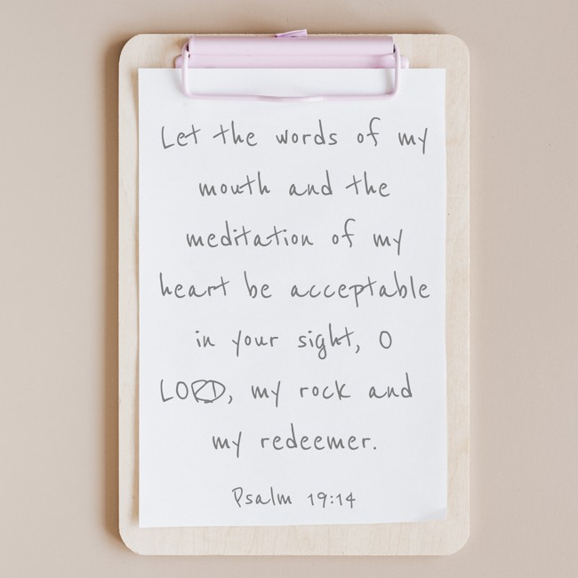 Let the words of my mouth and the meditation of my heart be acceptable in your sight, O LORD, my rock and my redeemer. - Psalm 19:14