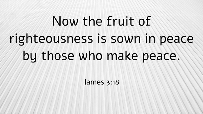 Now the fruit of righteousness is sown in peace by those who make peace. - James 3:18