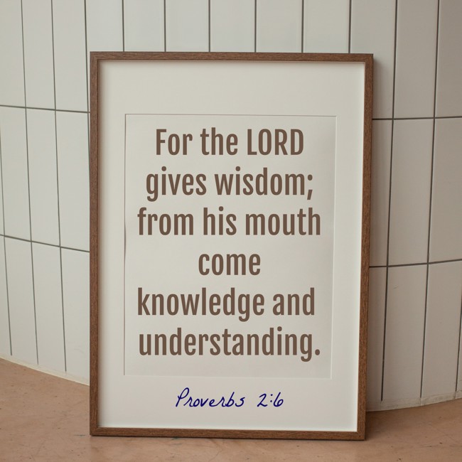 For the LORD gives wisdom; from his mouth come knowledge and understanding. - Proverbs 2:6
