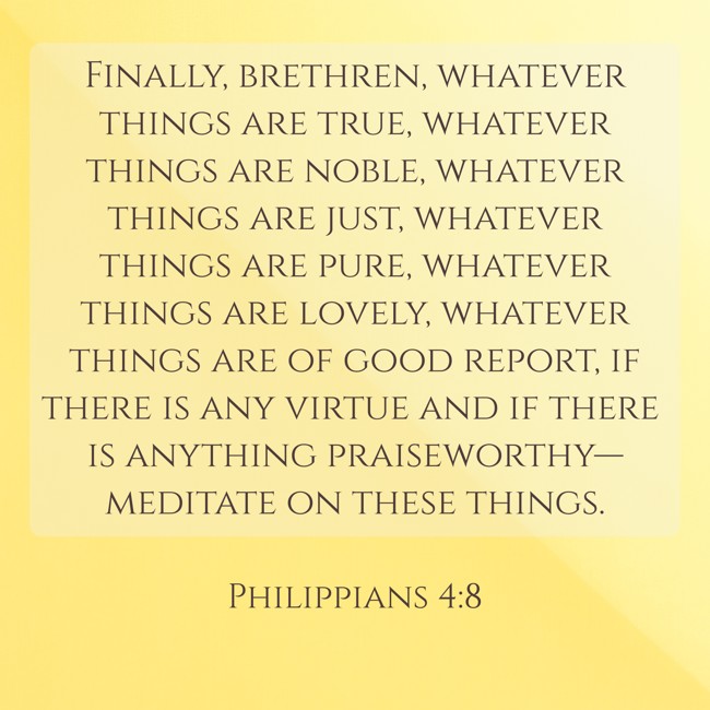 Finally, brethren, whatever things are true, whatever things are noble, whatever things are just, whatever things are pure, whatever things are lovely, whatever things are of good report, if there is any virtue and if there is anything praiseworthy—meditate on these things. - Philippians 4:8