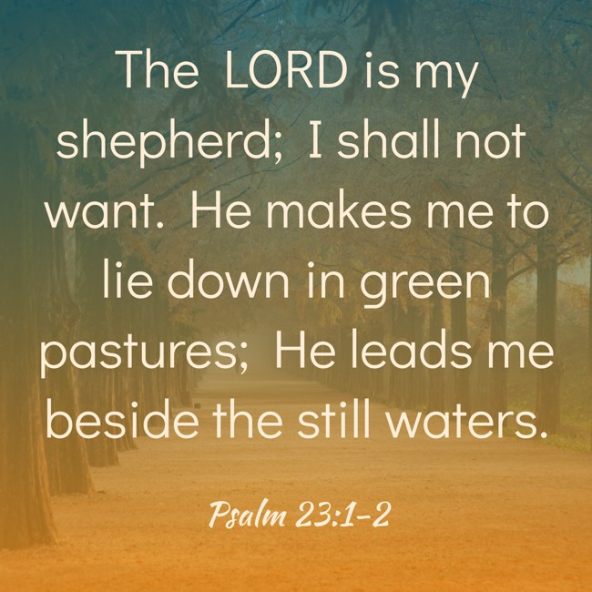 The LORD is my shepherd; I shall not want. He makes me to lie down in green pastures; He leads me beside the still waters. - Psalm 23:1-2
