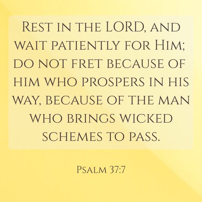Rest in the LORD, and wait patiently for Him; do not fret because of him who prospers in his way, because of the man who brings wicked schemes to pass. - Psalm 37:7