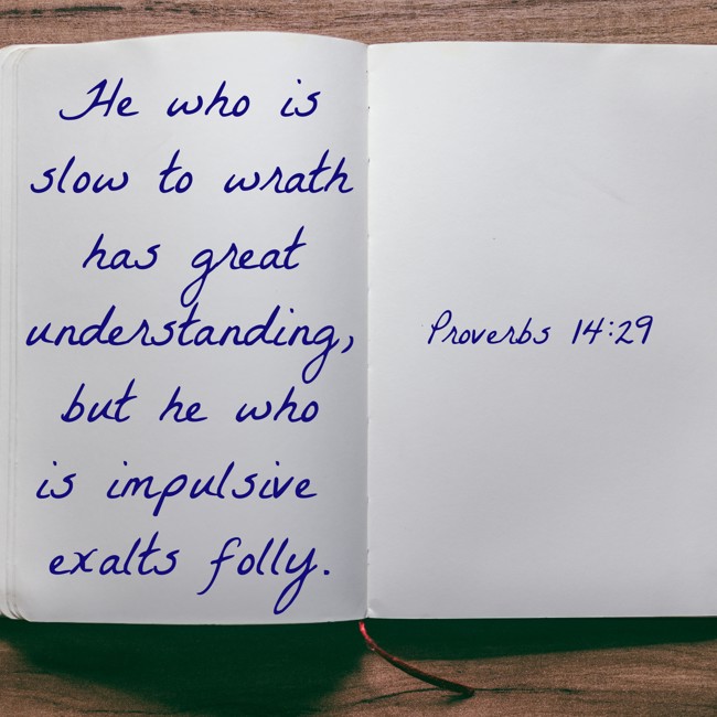 He who is slow to wrath has great understanding, but he who is impulsive exalts folly. - Proverbs 14:29