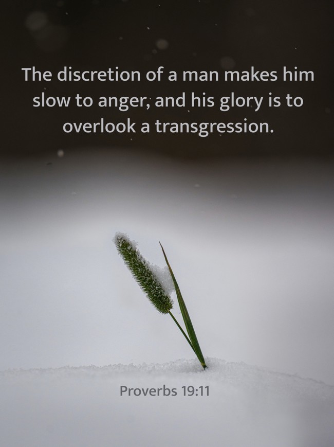 The discretion of a man makes him slow to anger, and his glory is to overlook a transgression. - Proverbs 19:11