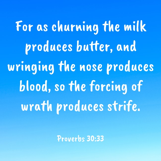For as churning the milk produces butter, and wringing the nose produces blood, so the forcing of wrath produces strife. - Proverbs 30:33