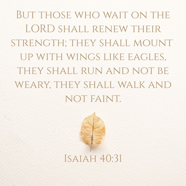 But those who wait on the LORD shall renew their strength; they shall mount up with wings like eagles, they shall run and not be weary, they shall walk and not faint. - Isaiah 40:31