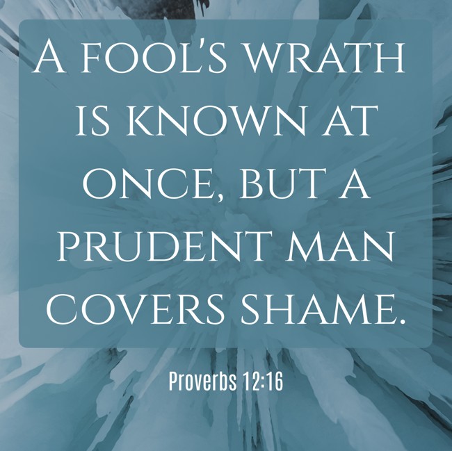 A fool's wrath is known at once, but a prudent man covers shame. - Proverbs 12:16