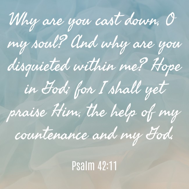 Why are you cast down, O my soul? And why are you disquieted within me? Hope in God; for I shall yet praise Him, the help of my countenance and my God. - Psalm 42:11