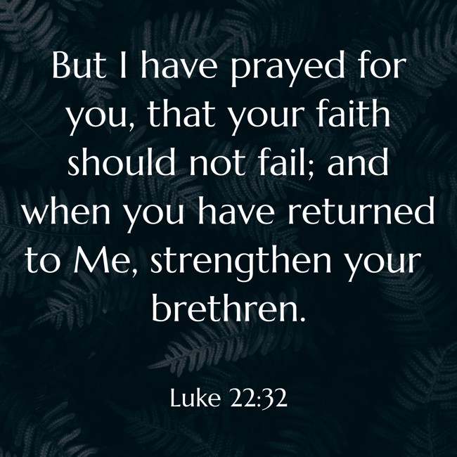 But I have prayed for you, that your faith should not fail; and when you have returned to Me, strengthen your brethren. - Luke 22:32