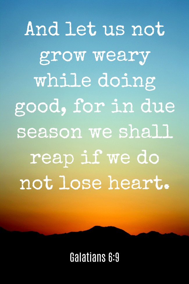 And let us not grow weary while doing good, for in due season we shall reap if we do not lose heart. - Galatians 6:9