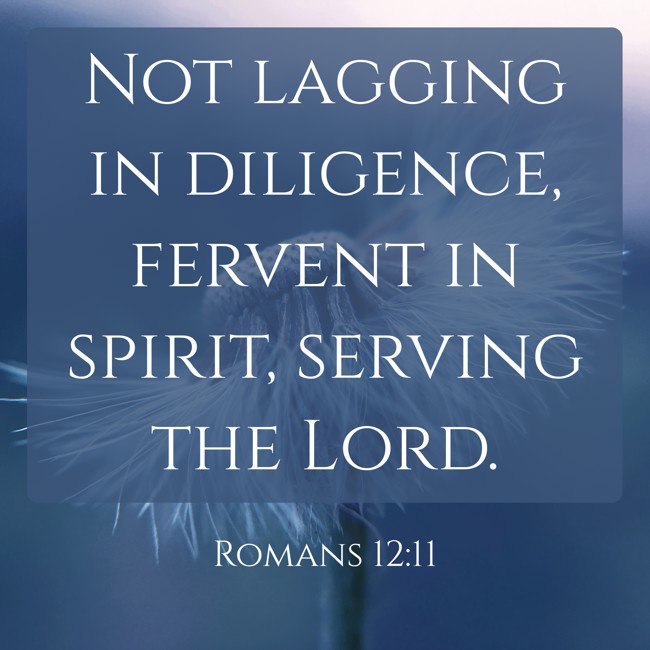 Not lagging in diligence, fervent in spirit, serving the Lord. - Romans 12:11