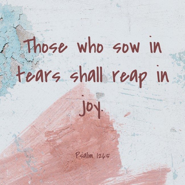 Those who sow in tears shall reap in joy. - Psalm 126:5