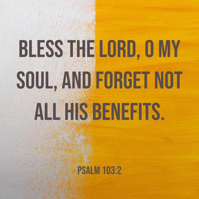 Bless the LORD, O my soul, and forget not all His benefits. - Psalm 103:2