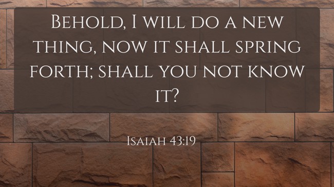 Behold, I will do a new thing, now it shall spring forth; shall you not know it? - Isaiah 43:19