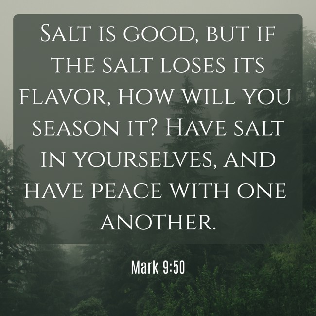 Salt is good, but if the salt loses its flavor, how will you season it? Have salt in yourselves, and have peace with one another. - Mark 9:50