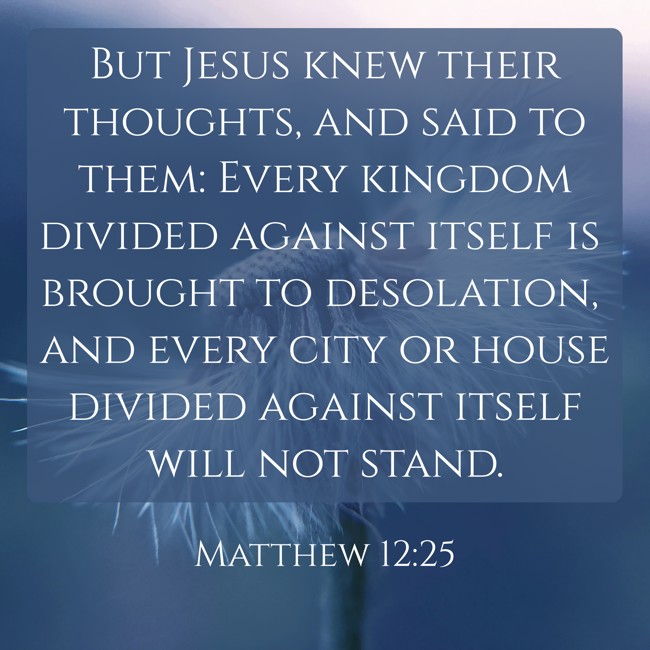 But Jesus knew their thoughts, and said to them: Every kingdom divided against itself is brought to desolation, and every city or house divided against itself will not stand. - Matthew 12:25