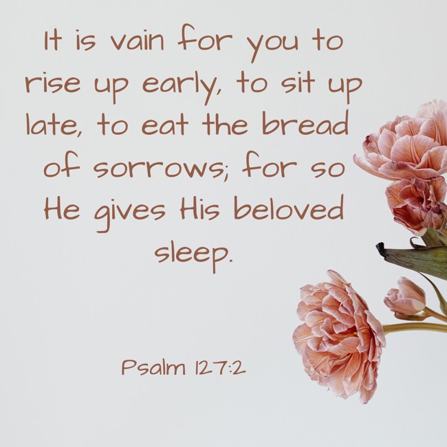 It is vain for you to rise up early, to sit up late, to eat the bread of sorrows; for so He gives His beloved sleep. - Psalm 127:2
